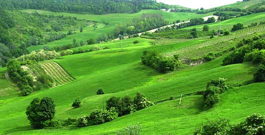 colline