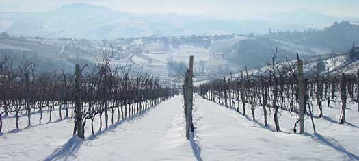 mornico losana